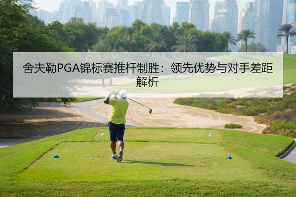 舍夫勒PGA锦标赛推杆制胜：领先优势与对手差距解析